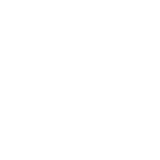 Blogbeiträge der Computer-Spezialisten