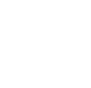 IT-Consulting durch die Computer-Spezialisten Die Computer-Spezialisten beraten Sie gerne